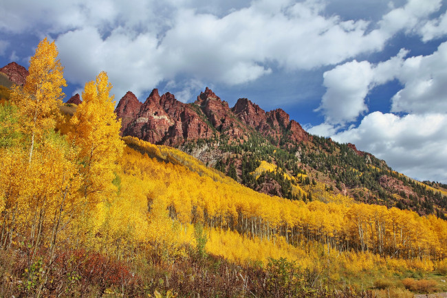 Обои картинки фото sievers, mountain, maroon, bells, colorado, природа, горы, колорадо, лес, осень, деревья