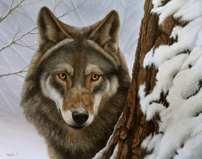 Картинка рисованные животные волк