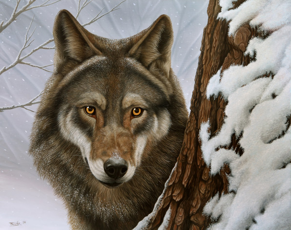 Обои картинки фото рисованные, животные, волк