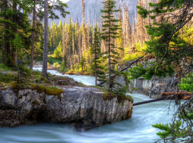 Обои картинки фото kootenay national park канада, природа, реки, озера, река, canada, парк, лес, park, kootenay