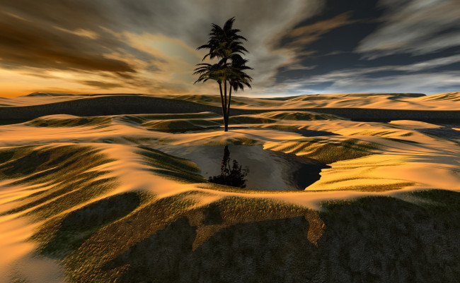 Обои картинки фото 3д графика, природа , nature, вода, песок, пальма