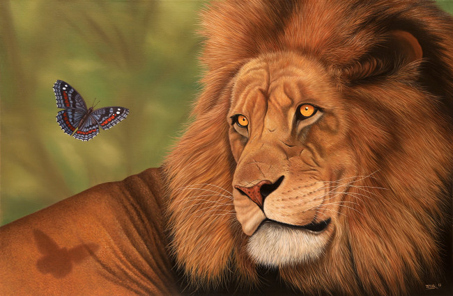 Обои картинки фото рисованные, животные, лев, бабочка