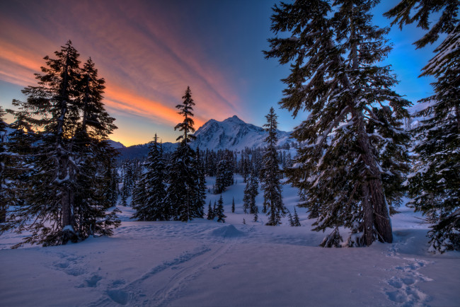 Обои картинки фото природа, зима, зарево, следы, снег, лес, горы