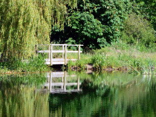 Картинка природа реки озера мостик пруд деревья