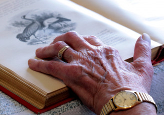 Картинка разное руки морщины старческая книга рука кольцо часы