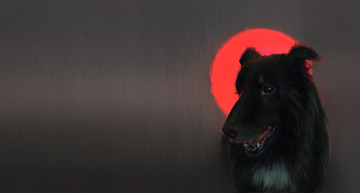 Картинка рисованное животные +собаки кровавая луна katherine dinger пёс арт собака