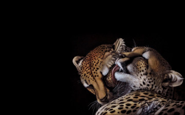 Картинка рисованное животные +гепарды кошка heather lara гепард нежность арт пара