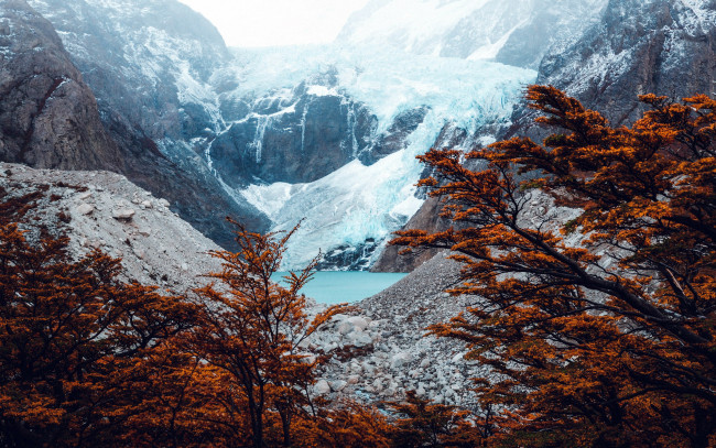 Обои картинки фото природа, пейзажи, горы, снег, деревья, озеро