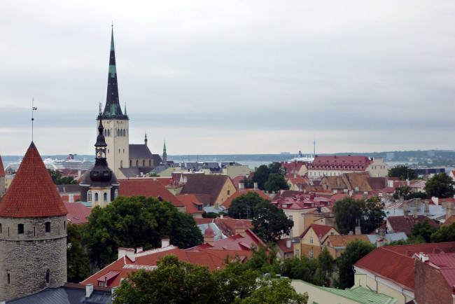 Обои картинки фото города, таллин , эстония, панорама, крыши