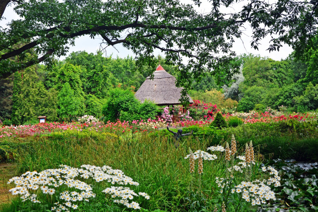 Обои картинки фото венгрия, цветы, разные вместе, крыша, трава, деревья, ромашки
