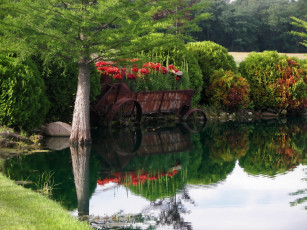 Картинка time to ponder природа реки озера деревья озеро цветы