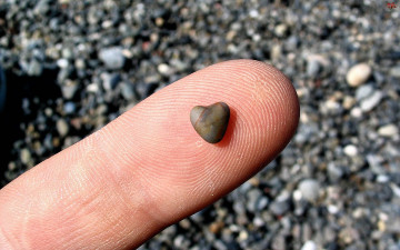 Картинка камень праздничные день св валентина сердечки любовь палец сердце