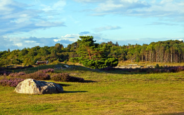 Картинка швеция вестра гёталанд природа пейзажи лес поляна