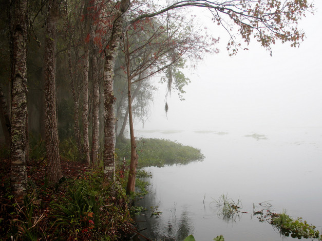 Обои картинки фото природа, реки, озера, туман, река