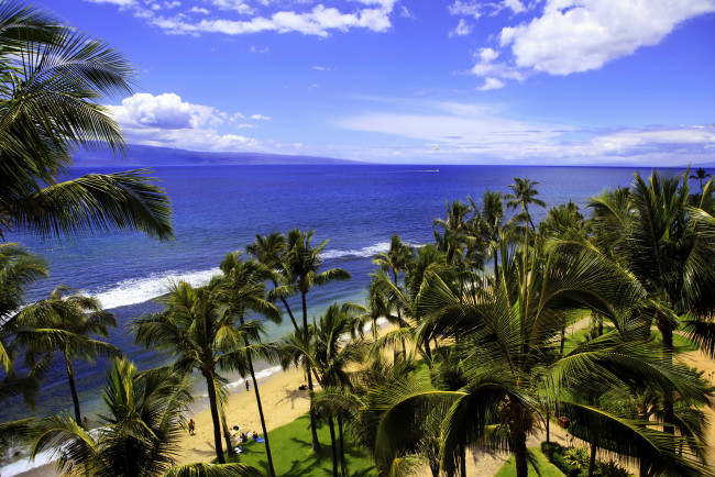 Обои картинки фото hawaii, природа, тропики