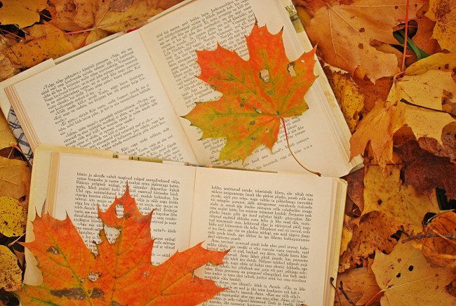 Обои картинки фото разное, канцелярия, книги, кленовые, листья, осень