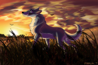 Картинка рисованное животные +собаки собака взгляд фон закат