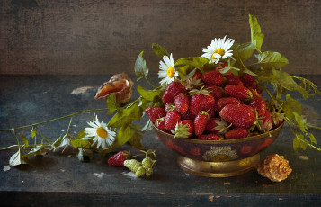 Картинка еда клубника +земляника текстура ракушки ромашки корзина ягоды