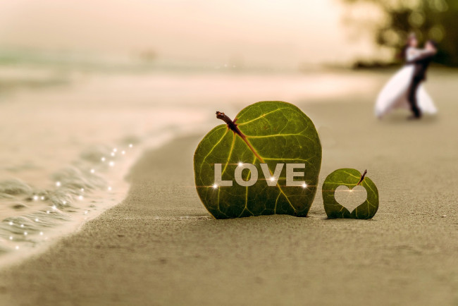 Обои картинки фото праздничные, день святого валентина,  сердечки,  любовь, побережье, берег, песок, волна, листья, сердце, love, пара