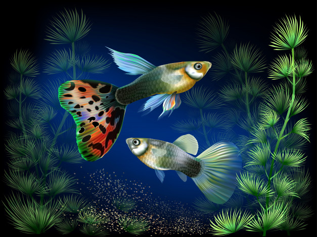 Обои картинки фото векторная графика, животные , animals, водоросли, под, водой, рыбки, аквариум