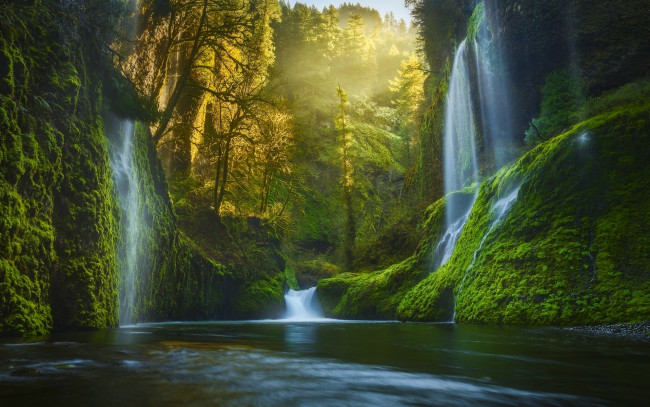 Обои картинки фото природа, водопады, лес, скалы, поток
