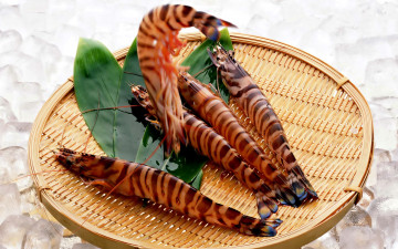 Картинка еда рыба +морепродукты +суши +роллы тигровые креветки tiger prawns