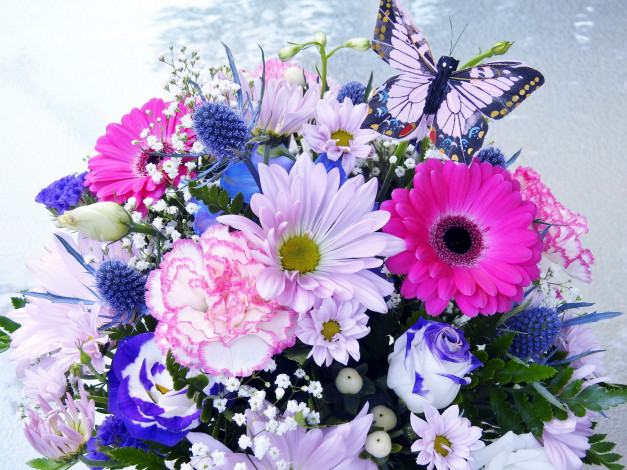 Обои картинки фото цветы, букеты,  композиции, гвоздика, эустома, герберы, бабочка