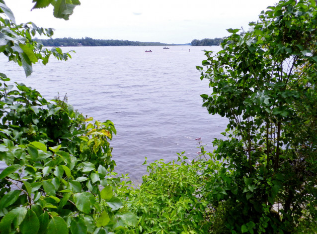 Обои картинки фото природа, реки, озера, лодки, деревья, озеро