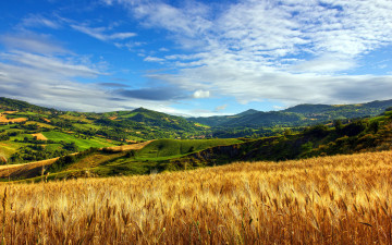 обоя природа, поля, горы, поле, пшеница