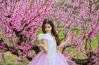 Картинка разное дети девочка платье дерево цветение