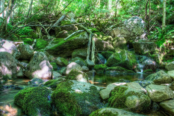 Картинка природа реки озера лес камни река деревья
