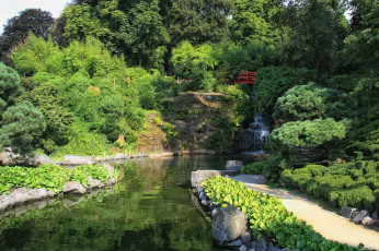 Картинка германия кайзерслаутерн японский сад природа парк растения деревья пруд