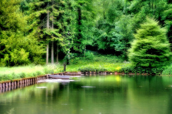 Картинка природа реки озера лес озеро лодка лето зелень