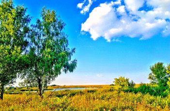 Картинка природа парк деревья трава поле лето облака