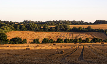 Картинка hampshire англия природа поля трава сено