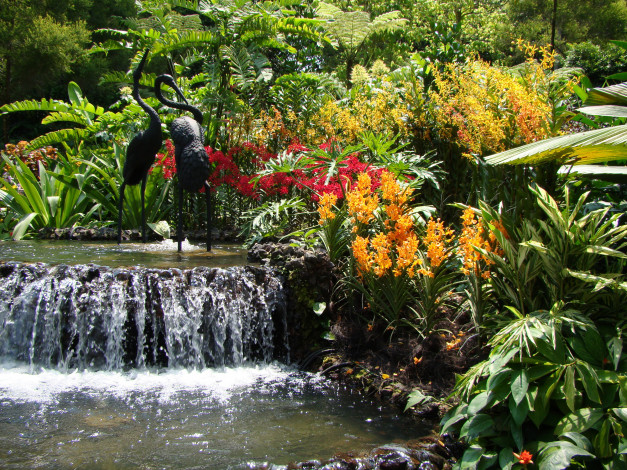 Обои картинки фото singapore, orchid, garden, природа, парк, орхидеи, водопад