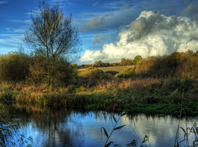 Обои картинки фото river, itchen, avington, англия, природа, реки, озера, камыши, облака, река