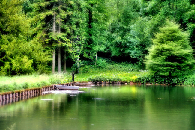 Обои картинки фото природа, реки, озера, лес, озеро, лодка, лето, зелень