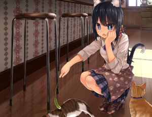 Картинка аниме животные +существа помещение ушки девушка кошки стул игрушка бант фартук шкаф хвост