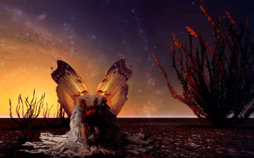 Картинка фэнтези фотоарт бабочка пустыня крылья девушка закат небо кусты