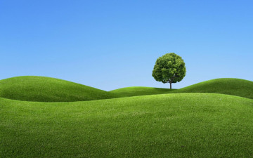 Картинка природа луга холмы дерево луг трава небо