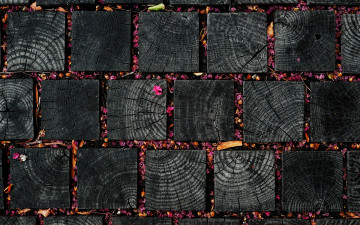 Картинка разное текстуры листочки текстура деревяшки лепестки цветки квадраты
