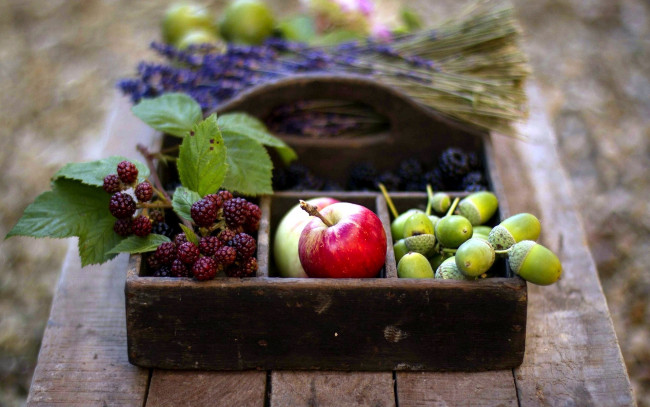 Обои картинки фото еда, фрукты,  ягоды, яблоки, ежевика, лаванда, желуди