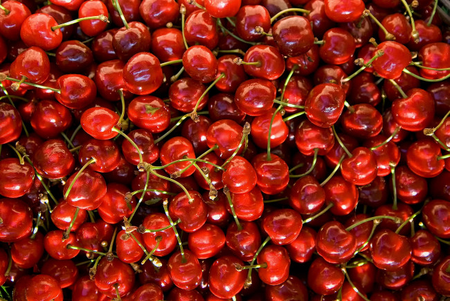 Обои картинки фото еда, вишня,  черешня, много, текстура, черешня, ягоды