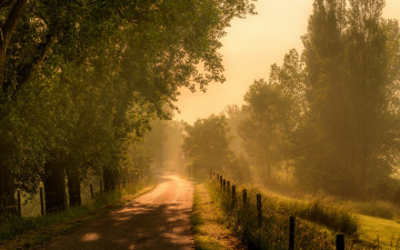 Картинка природа дороги утро туман дорога