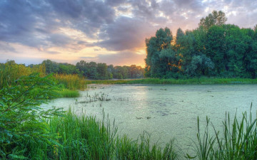 Картинка природа реки озера киев днепр заводь украина закат