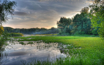 Картинка природа реки озера закат украина киев днепр заводь