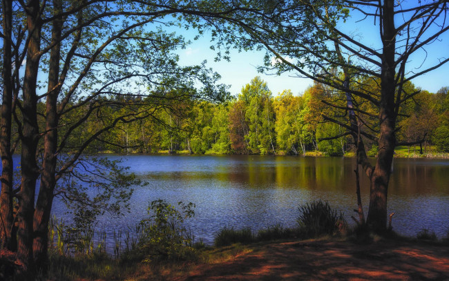 Обои картинки фото природа, реки, озера, берег, река, осень, лес, деревья
