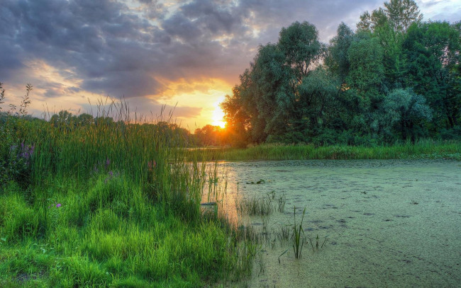 Обои картинки фото природа, реки, озера, днепр, киев, украина, закат, заводь