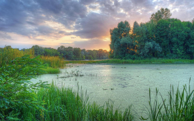 Обои картинки фото природа, реки, озера, киев, днепр, заводь, украина, закат